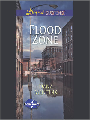 cover image of Flood Zone